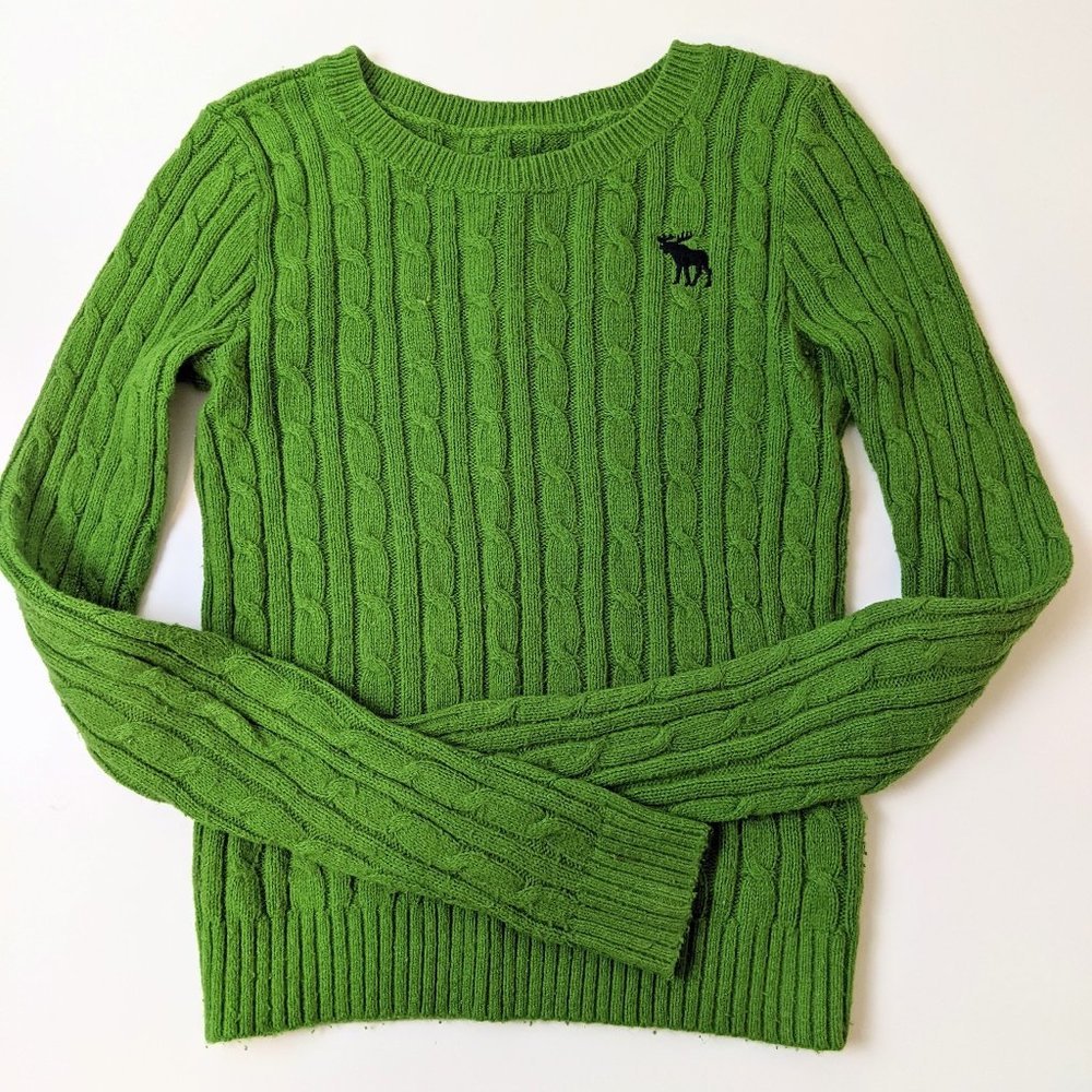 Abercrombie Kids Green Sweater with Navy Moose Embroidery